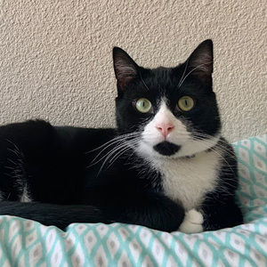 Meet your Posher, Soleil blouin